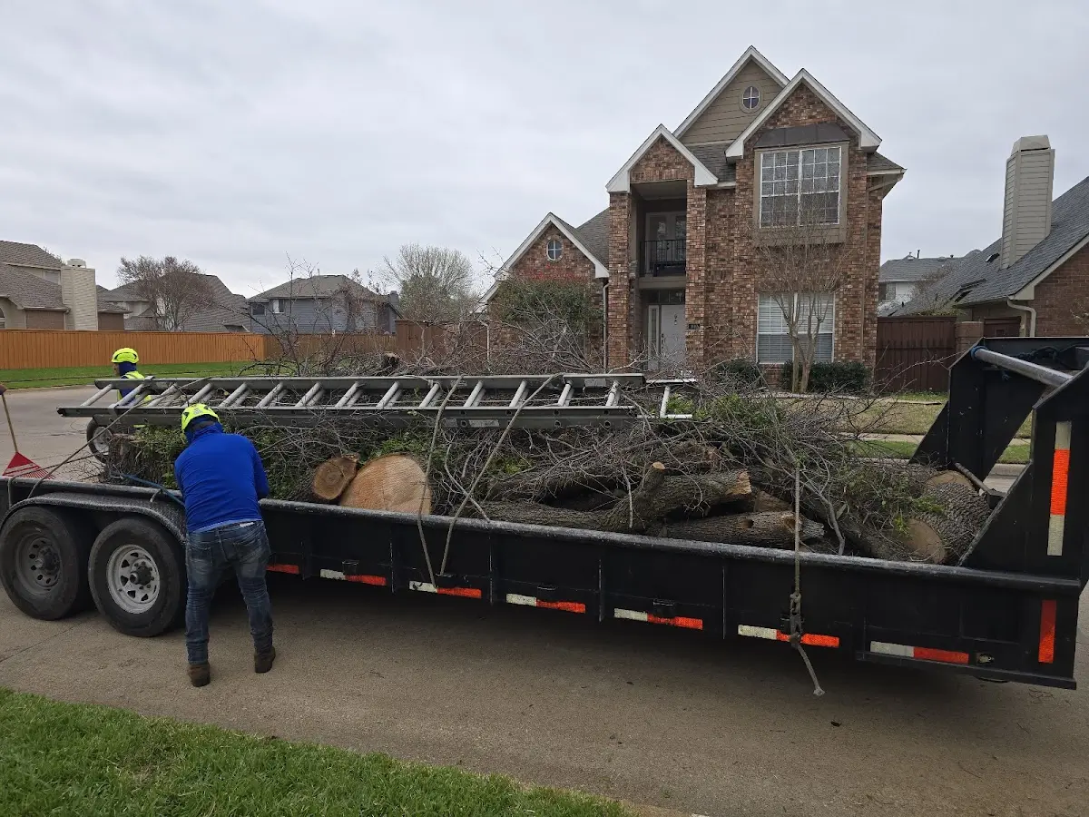 Expert Crown Reduction with proper safety equipment in Clearlake